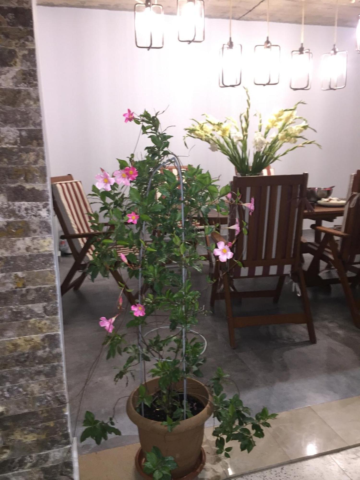 Guest House Smile Kobuleti Exterior photo
