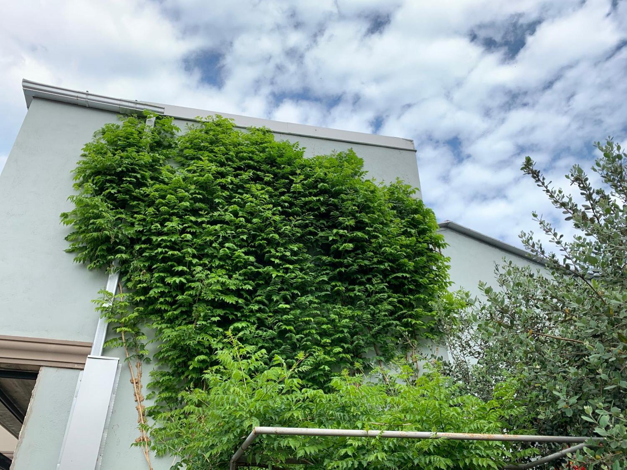 Guest House Smile Kobuleti Exterior photo